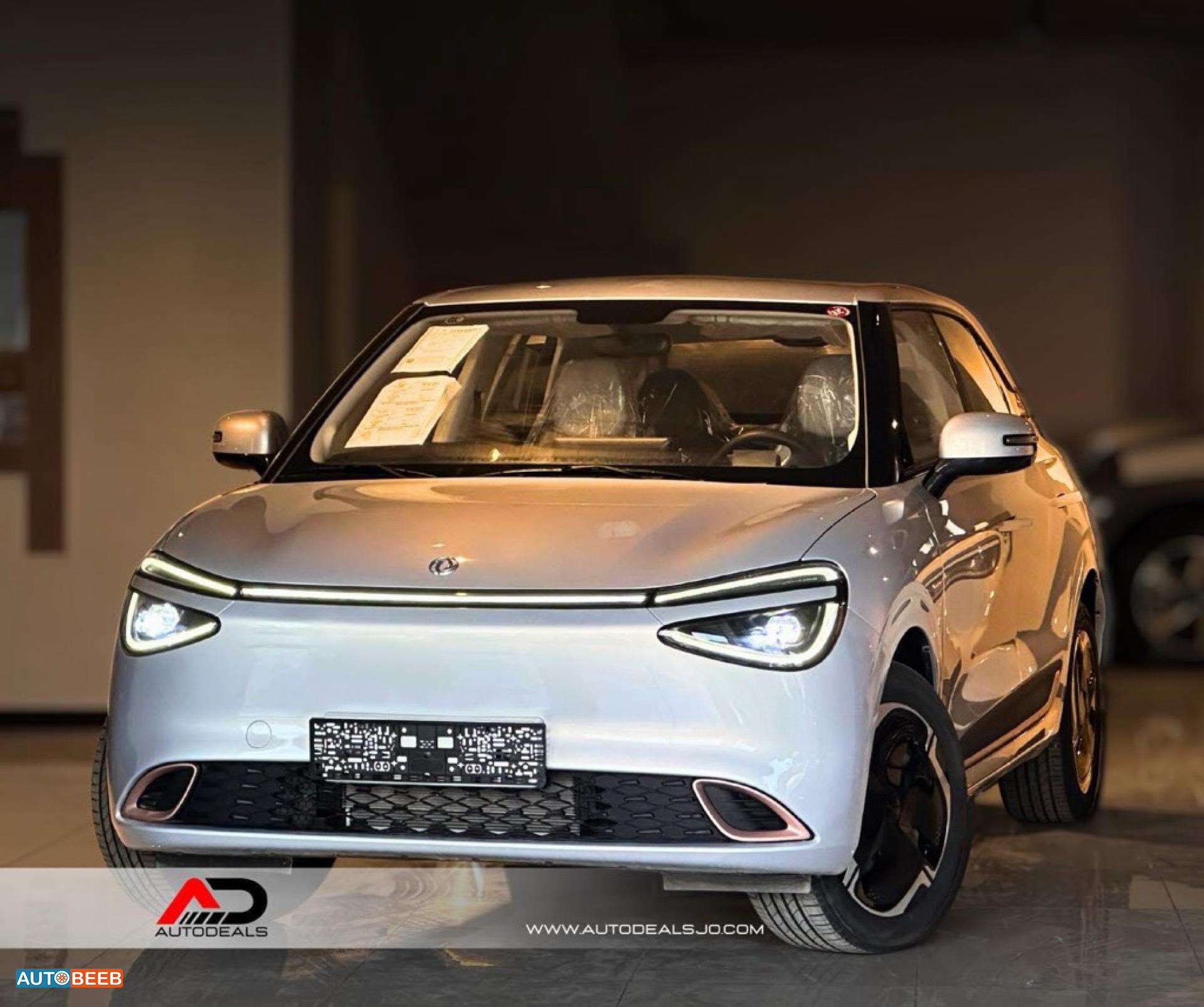 Dongfeng Nammi Box 2025