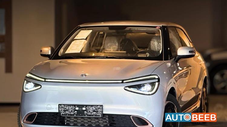 Dongfeng Nammi Box 2025