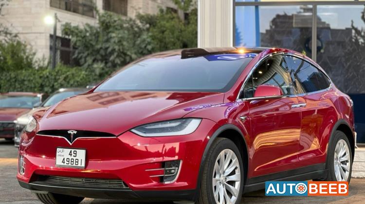Tesla X 2019