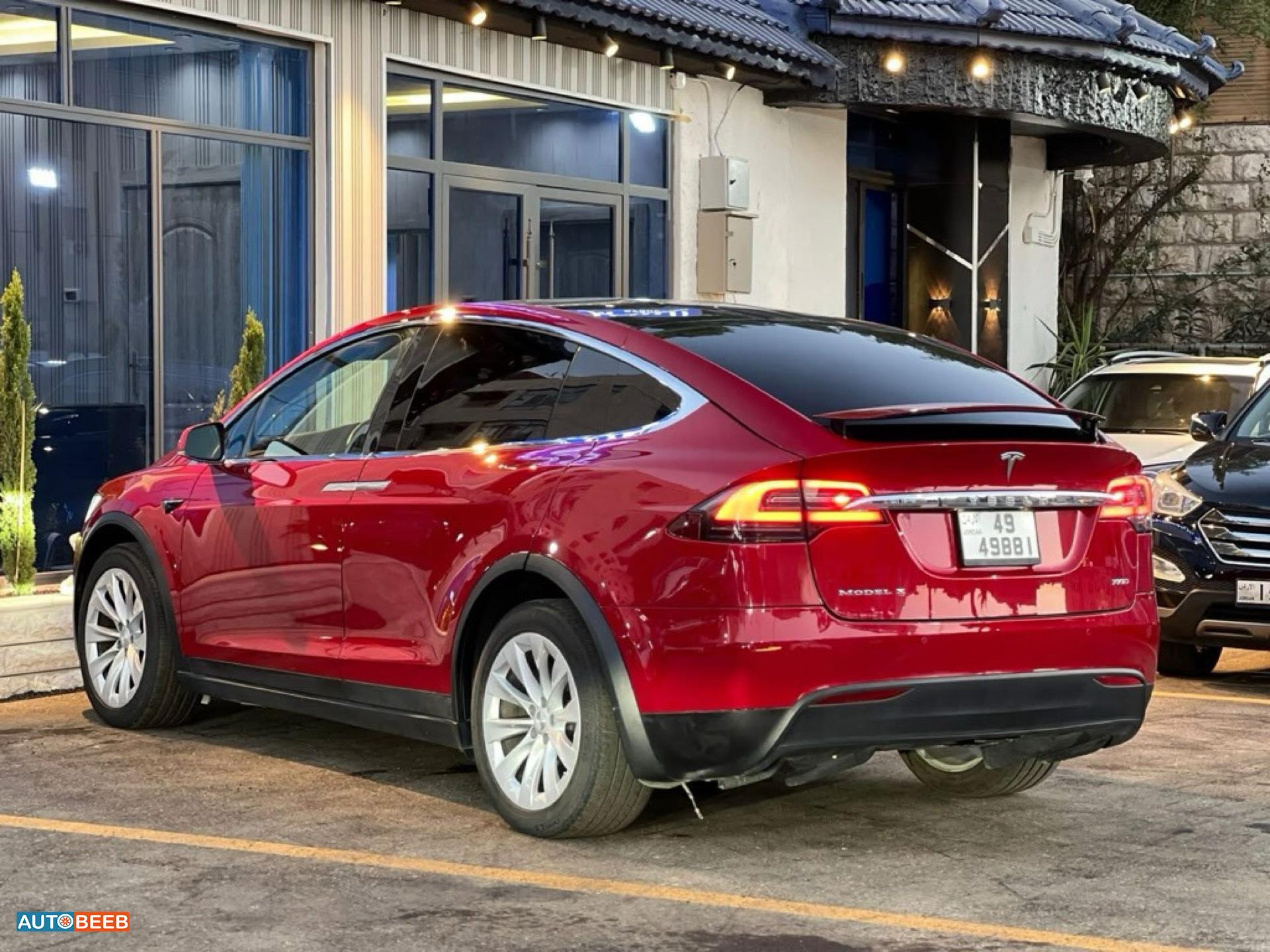 Tesla X 2019