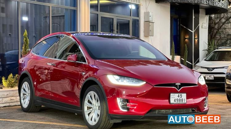 Tesla X 2019