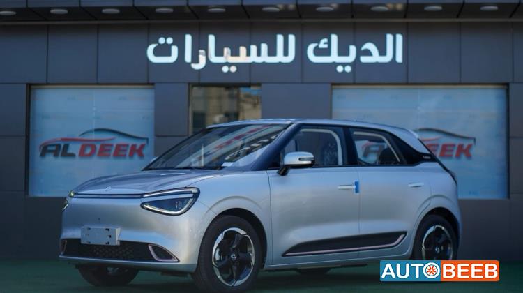 Dongfeng Nammi Box 2025