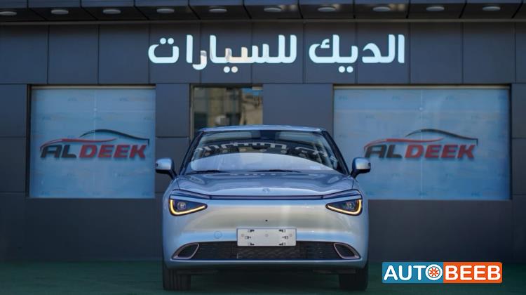 Dongfeng Nammi Box 2025