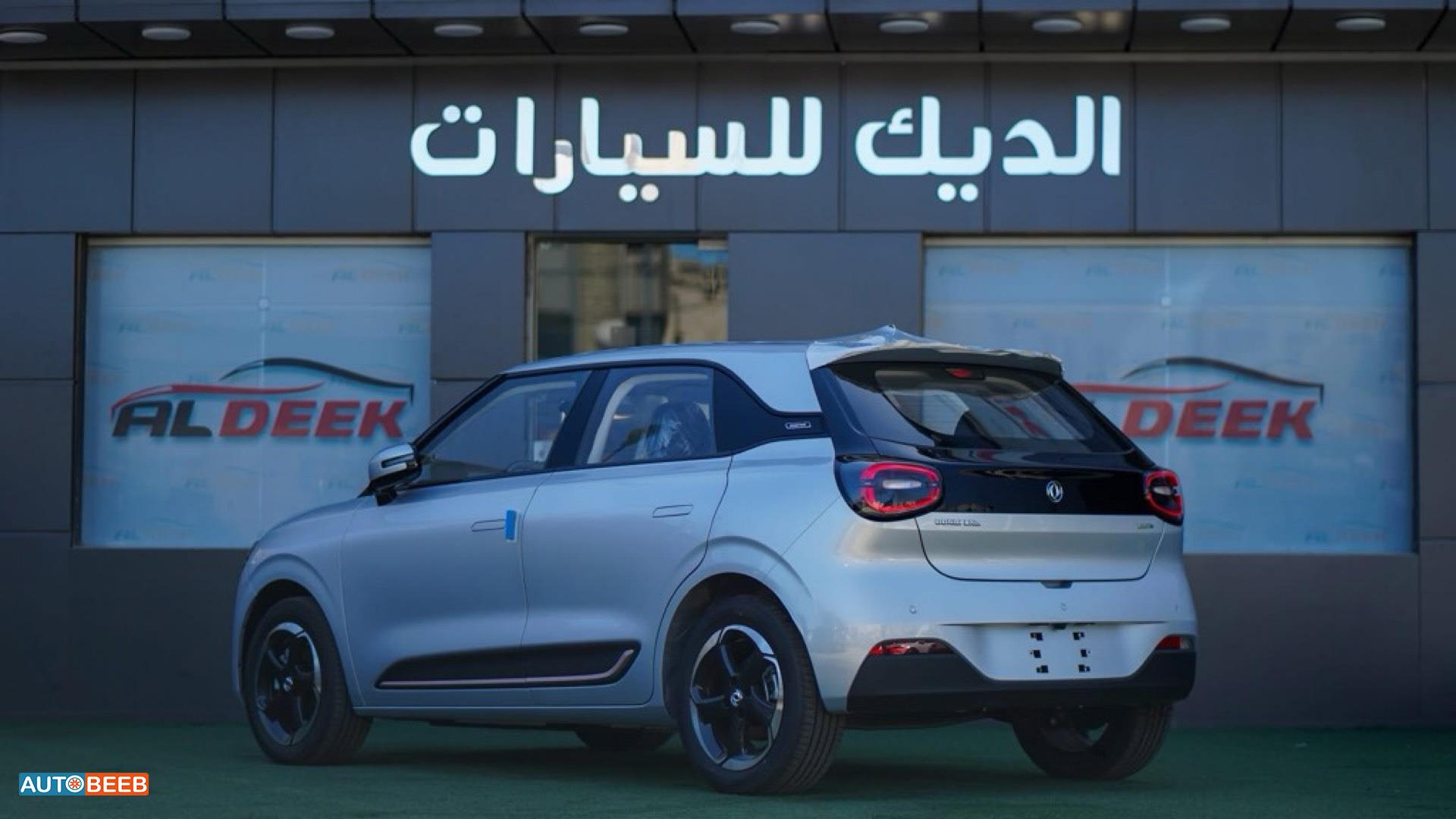 Dongfeng Nammi Box 2025