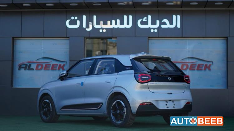 Dongfeng Nammi Box 2025