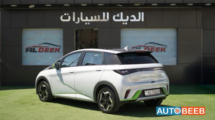 BYD Dolphin 2022