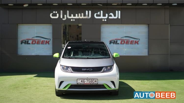 BYD Dolphin 2022