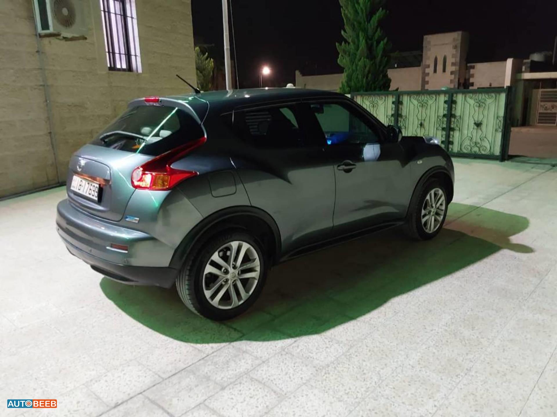 Nissan Juke 2013
