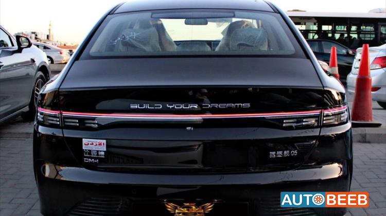 BYD Destroyer 05 2025