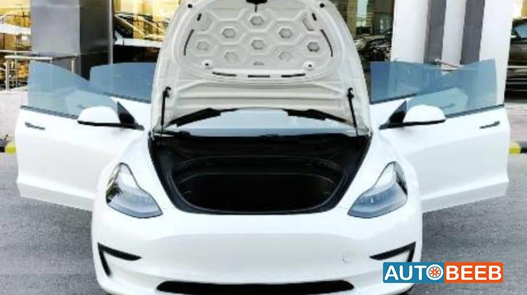 Tesla 3 2021
