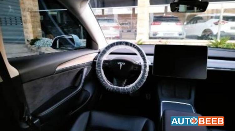 Tesla 3 2021