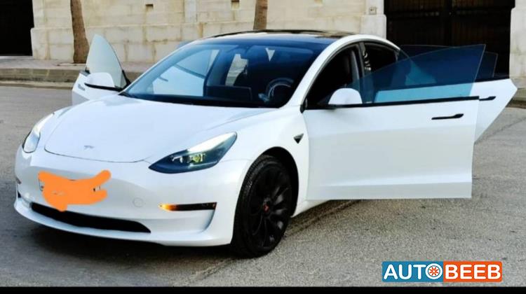 Tesla 3 2021