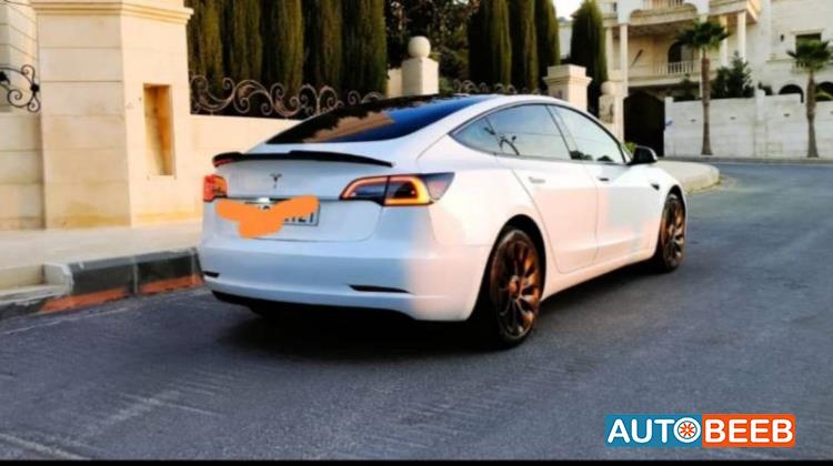 Tesla 3 2021
