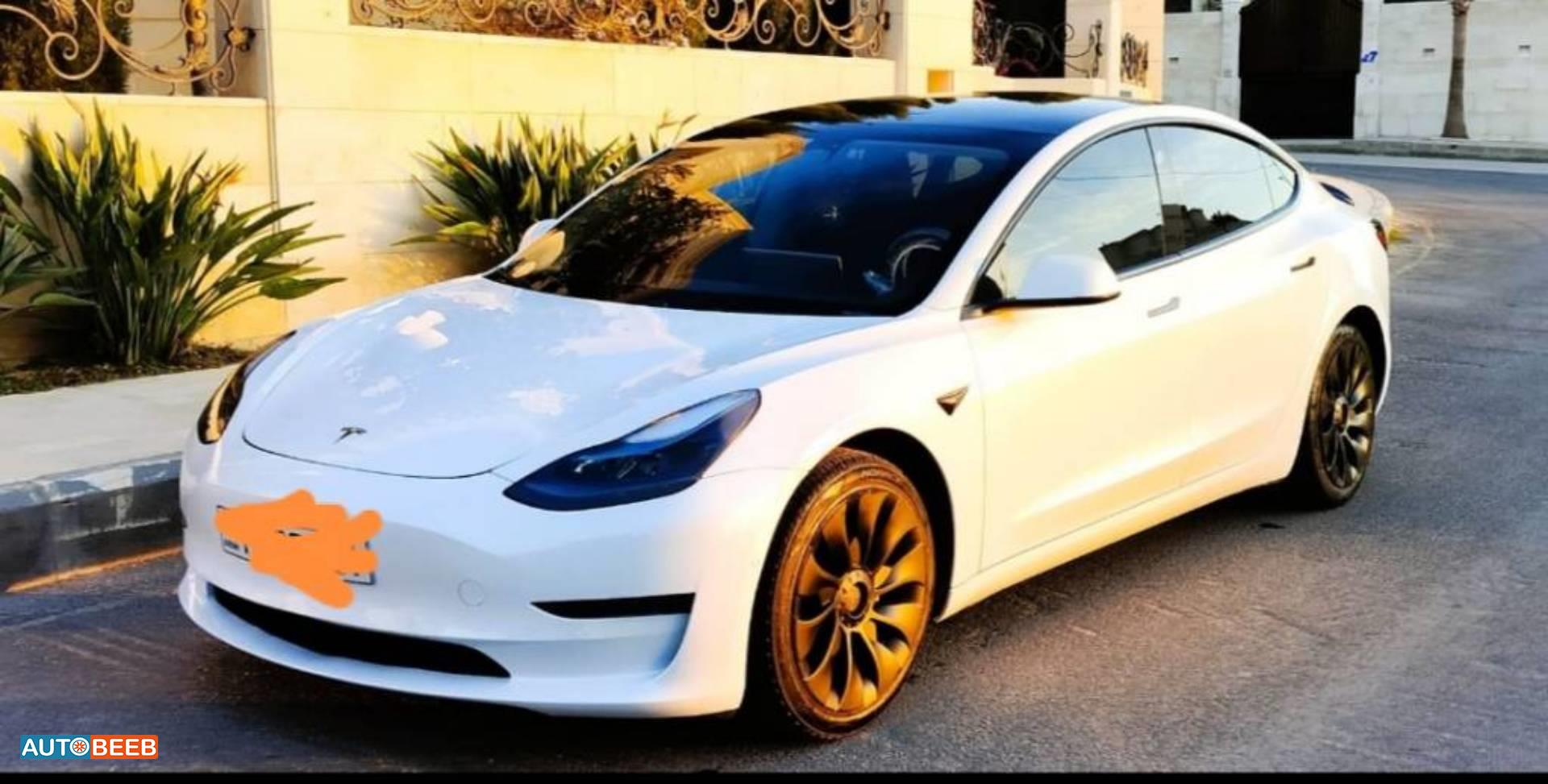 Tesla 3 2021