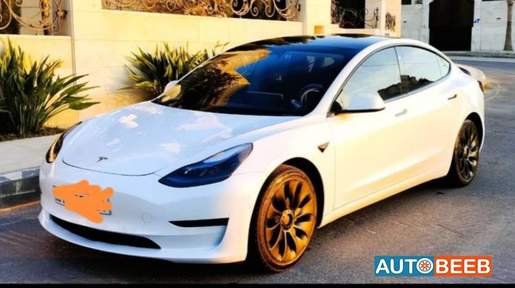 Tesla 3 2021