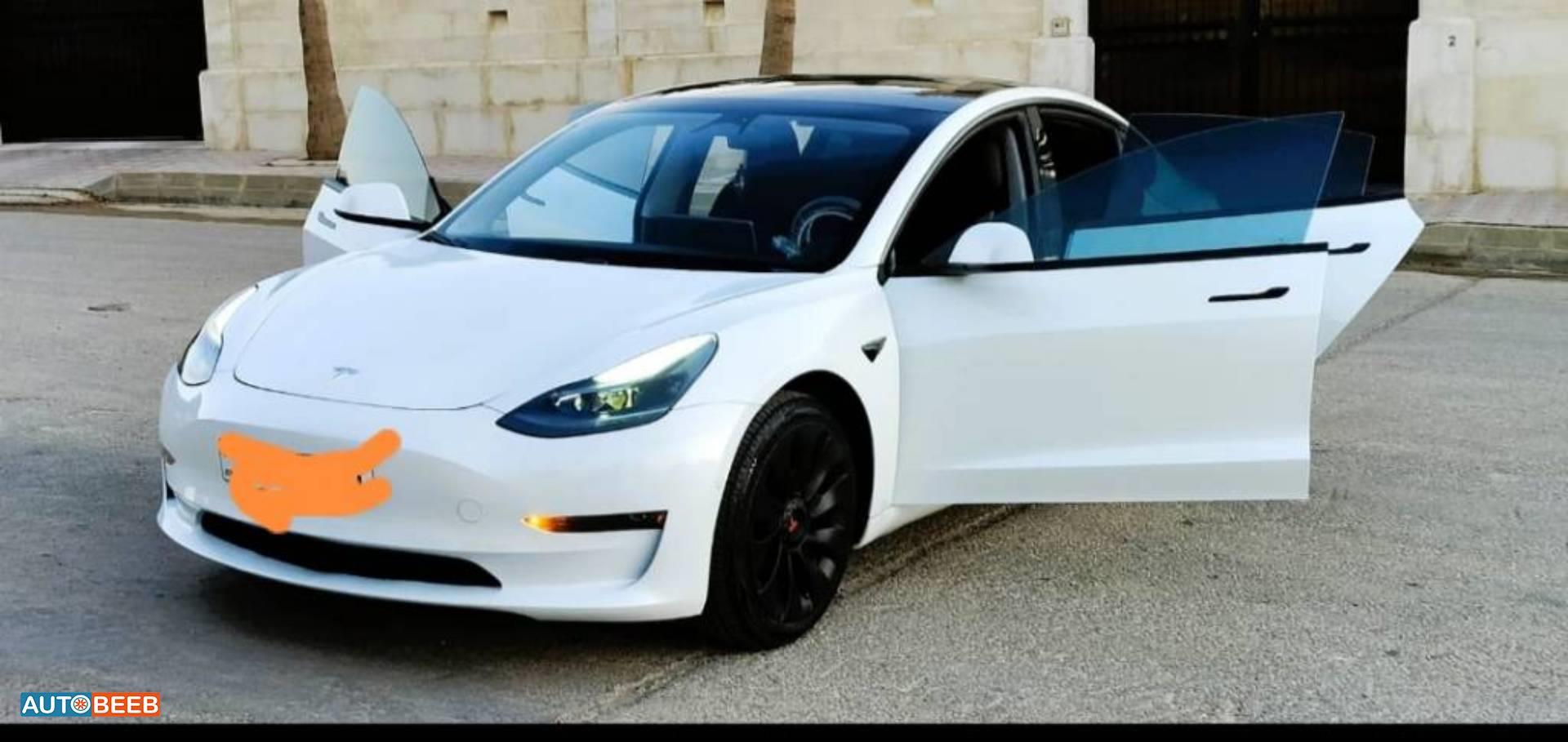 Tesla 3 2021