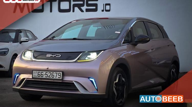 BYD Dolphin 2021
