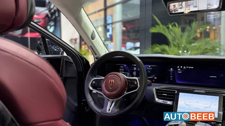 Hongqi E-HS9 2023
