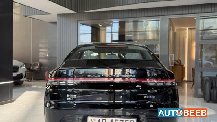 BYD Destroyer 05 2025