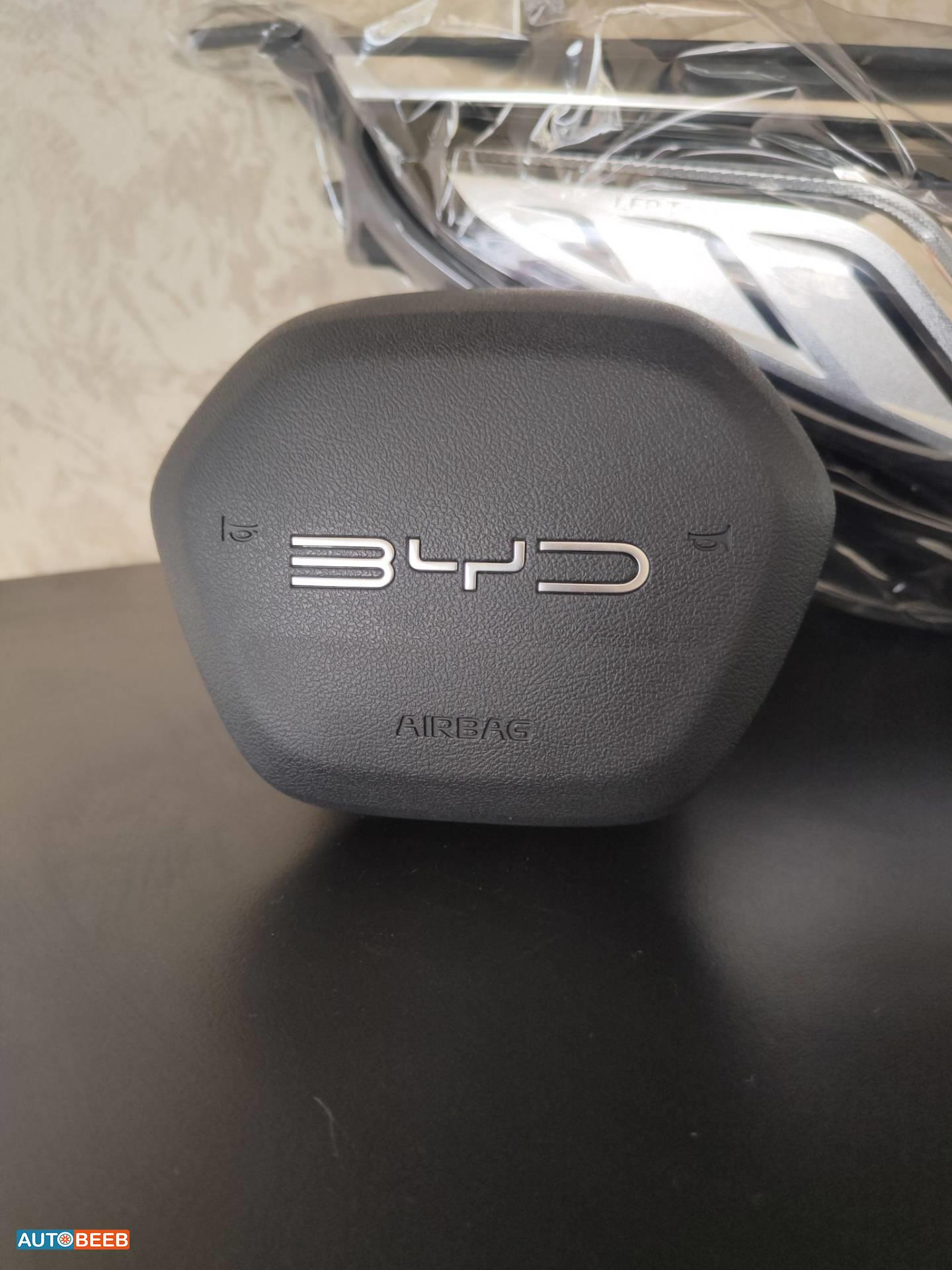 Cabin  Steering Wheel BYD Destroyer 05