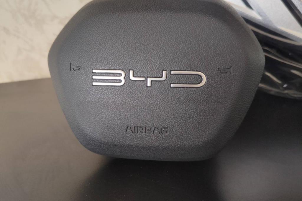 Cabin  Steering Wheel BYD Destroyer 05