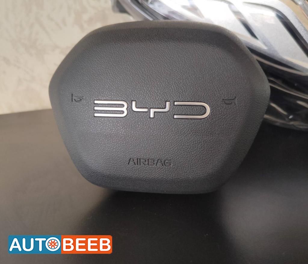 Cabin  Steering Wheel BYD Destroyer 05