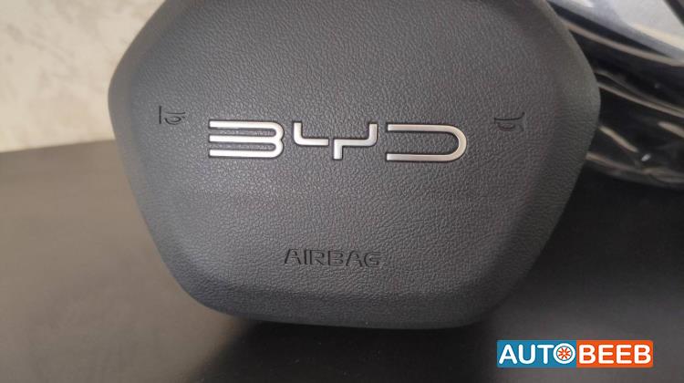 Cabin  Steering Wheel BYD Destroyer 05