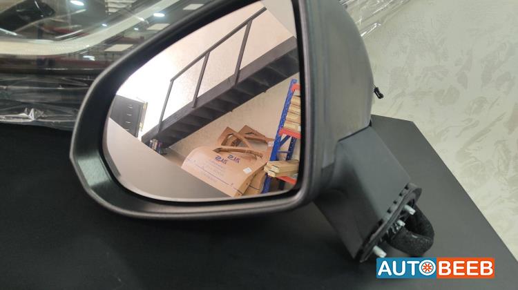 Body  Wing Mirror BYD Destroyer 05