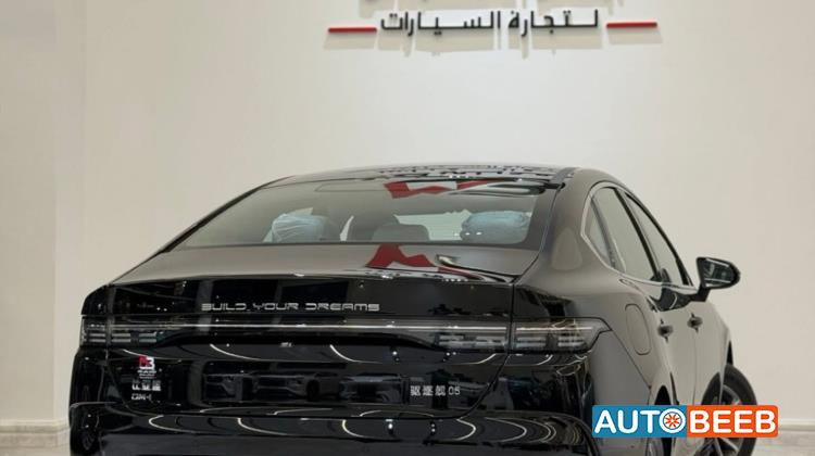 BYD Destroyer 05 2025