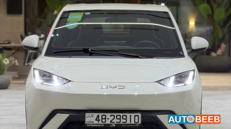 BYD Seagull 2024