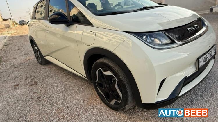 BYD Dolphin 2022