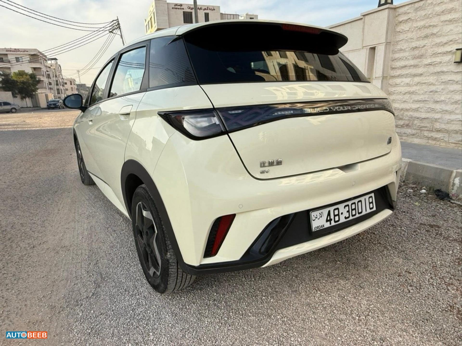 BYD Dolphin 2022