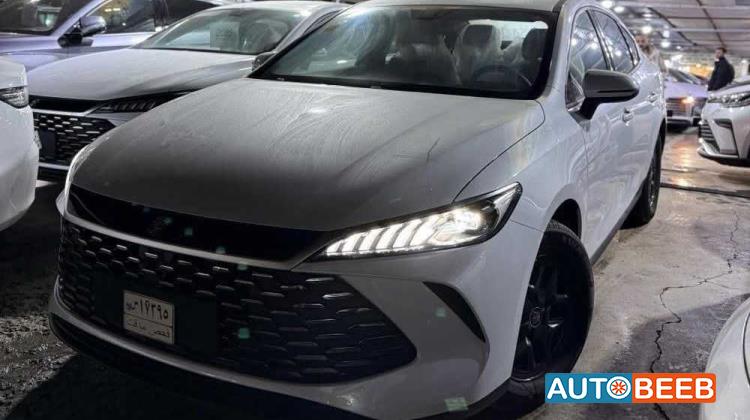 BYD Qin 2025