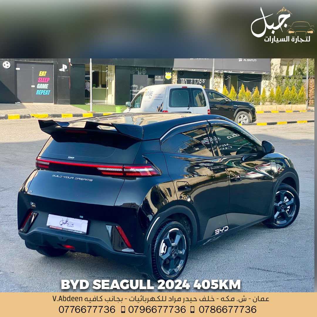 BYD Seagull 2024