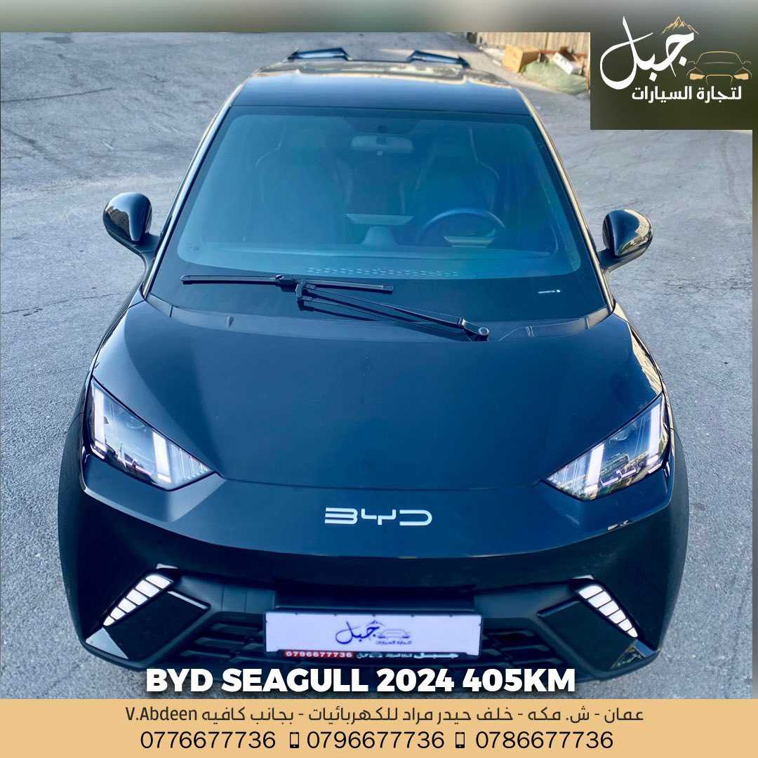 BYD Seagull 2024