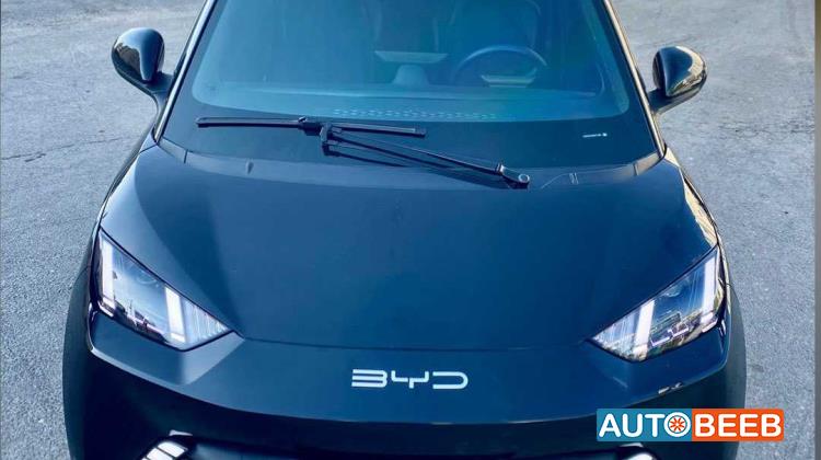 BYD Seagull 2024