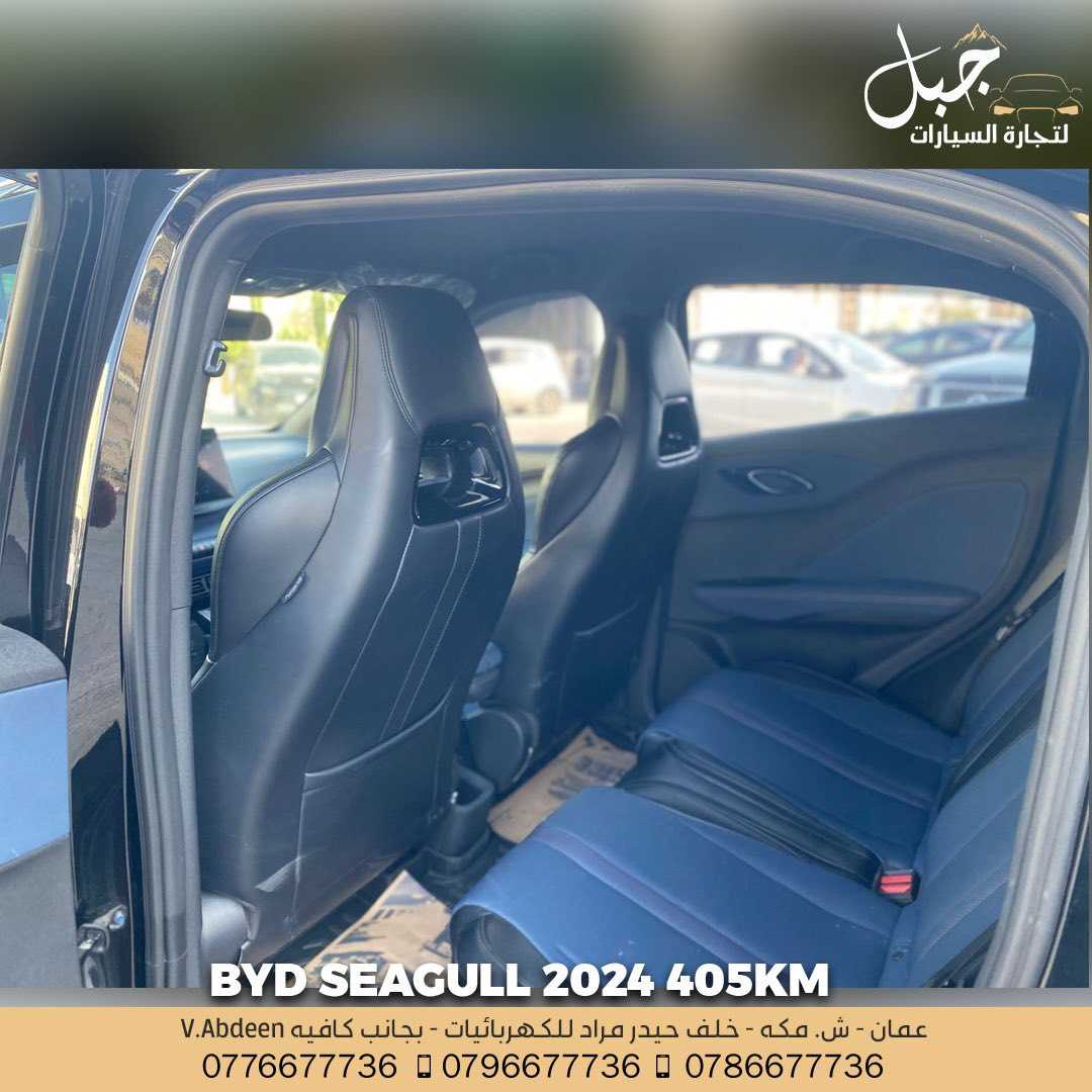 BYD Seagull 2024