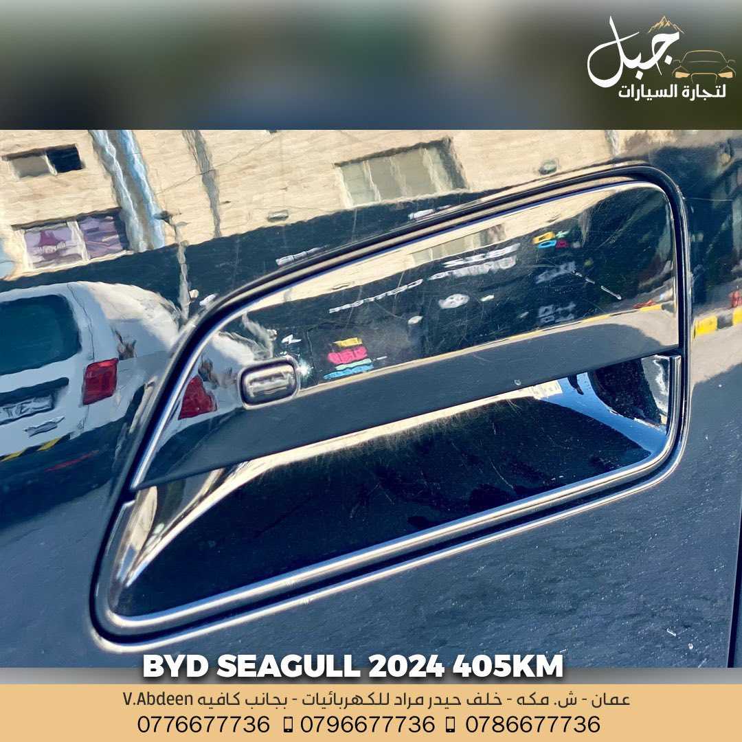 BYD Seagull 2024