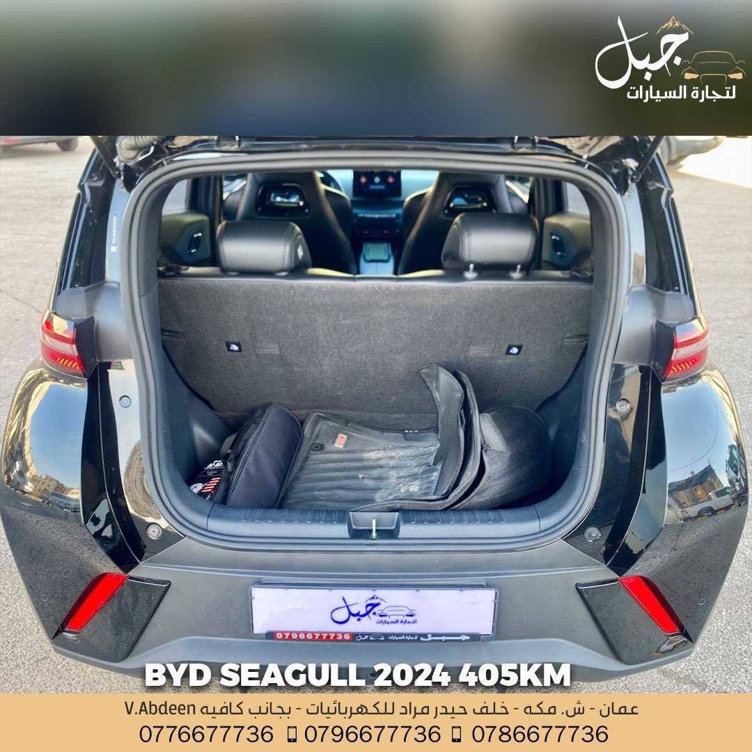BYD Seagull 2024