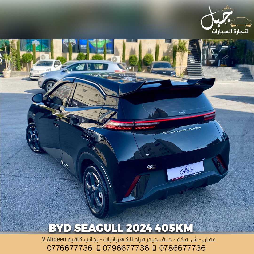 BYD Seagull 2024