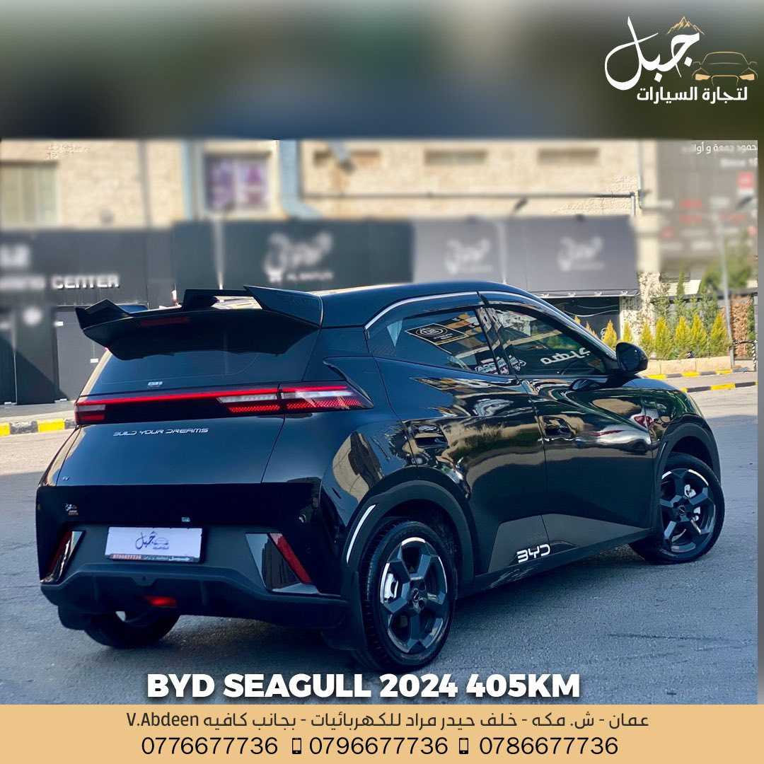 BYD Seagull 2024