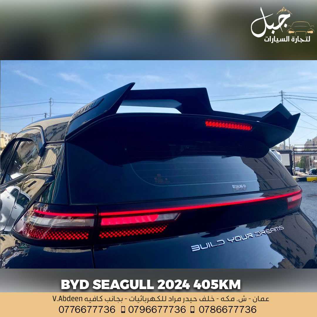 BYD Seagull 2024