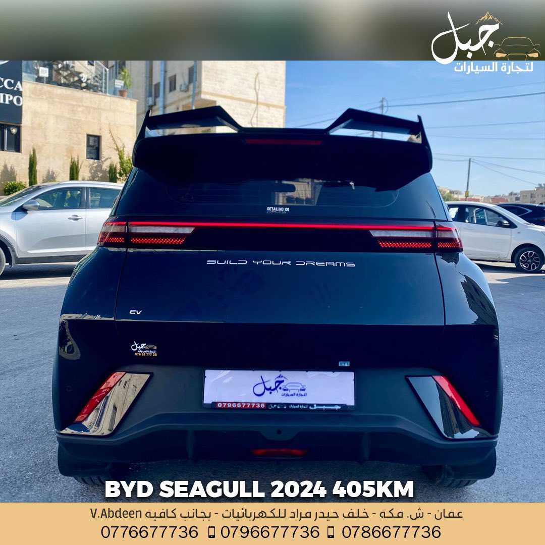 BYD Seagull 2024
