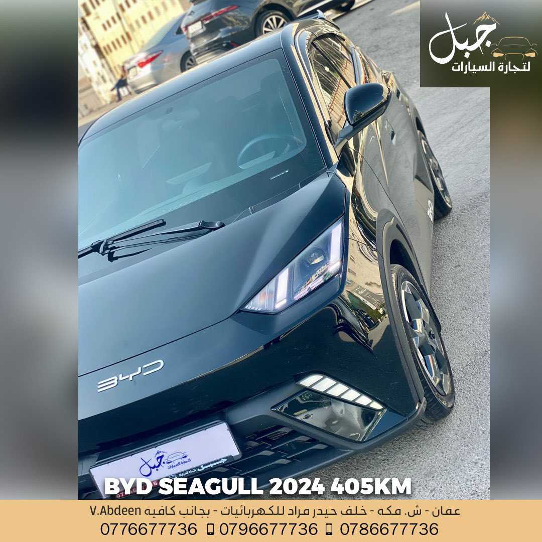 BYD Seagull 2024