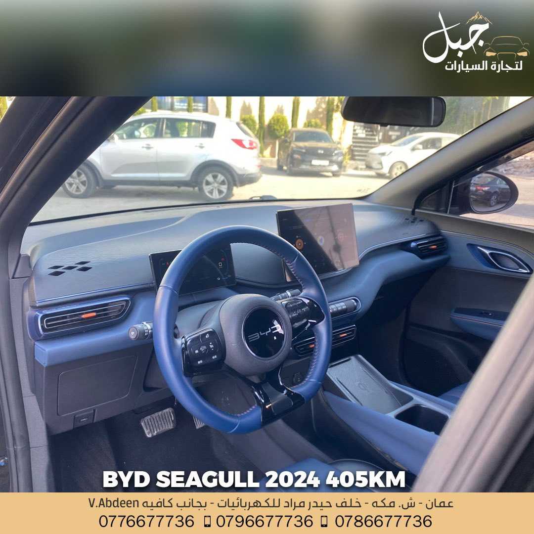 BYD Seagull 2024