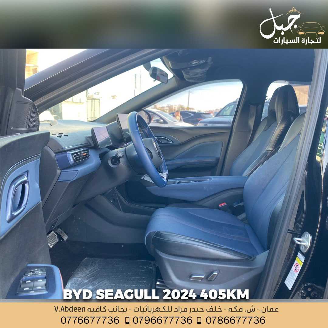 BYD Seagull 2024