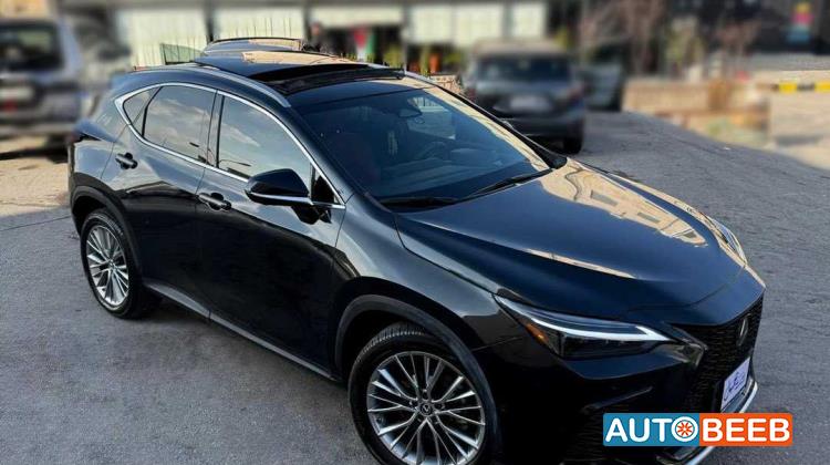 Lexus NX350 2023