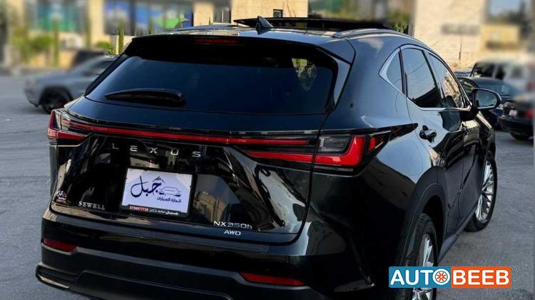 Lexus NX350 2023