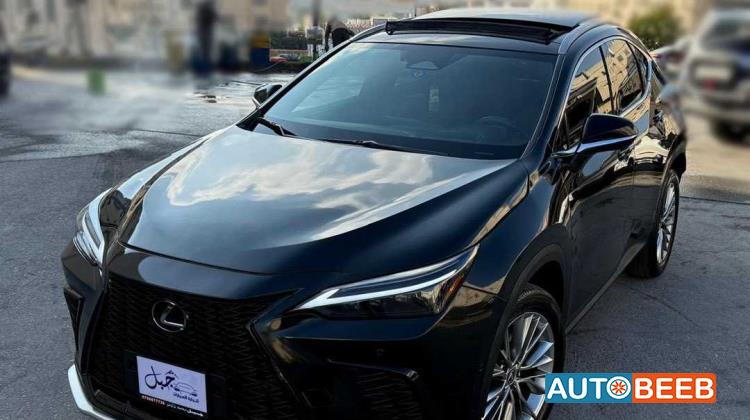 Lexus NX350 2023