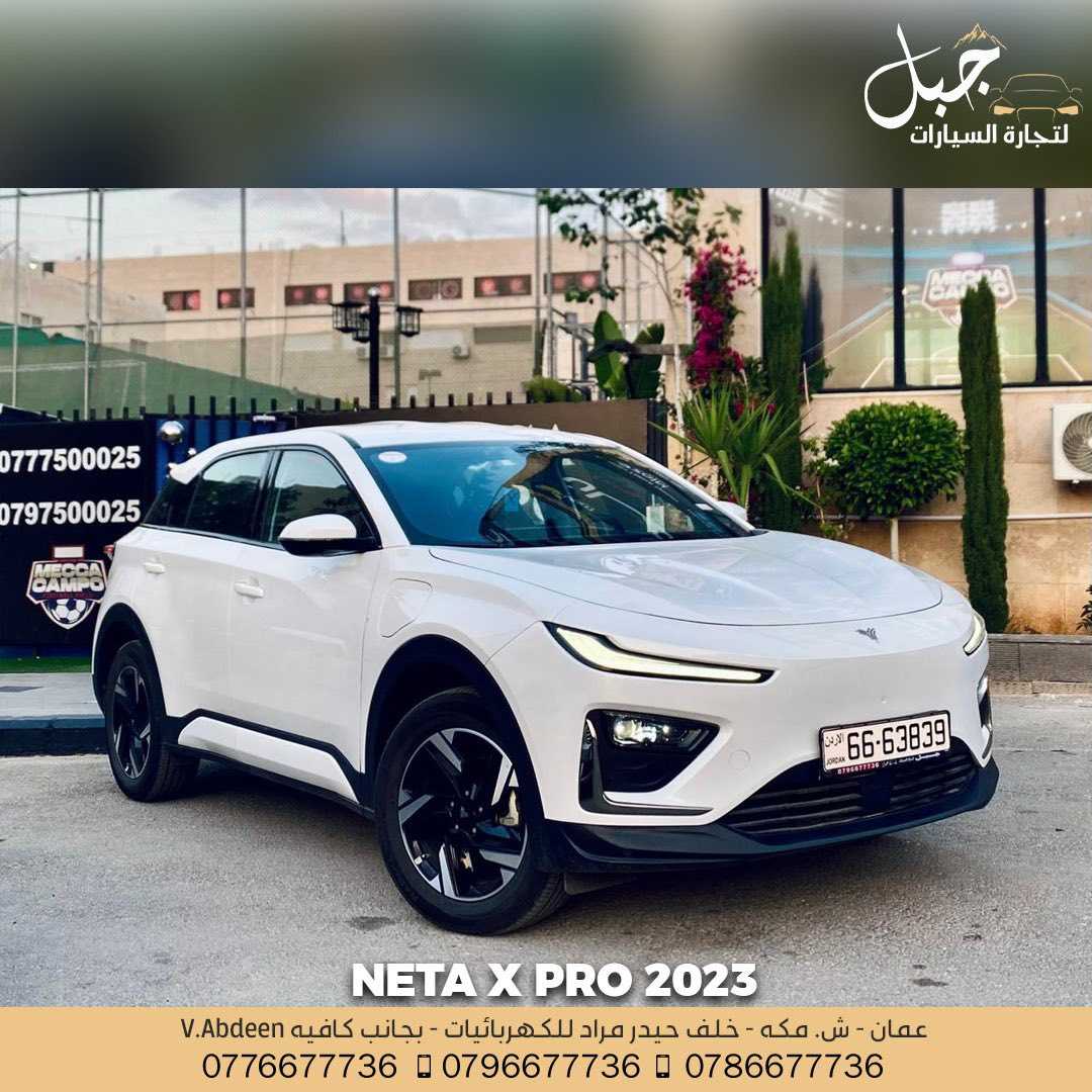 Neta X 2023